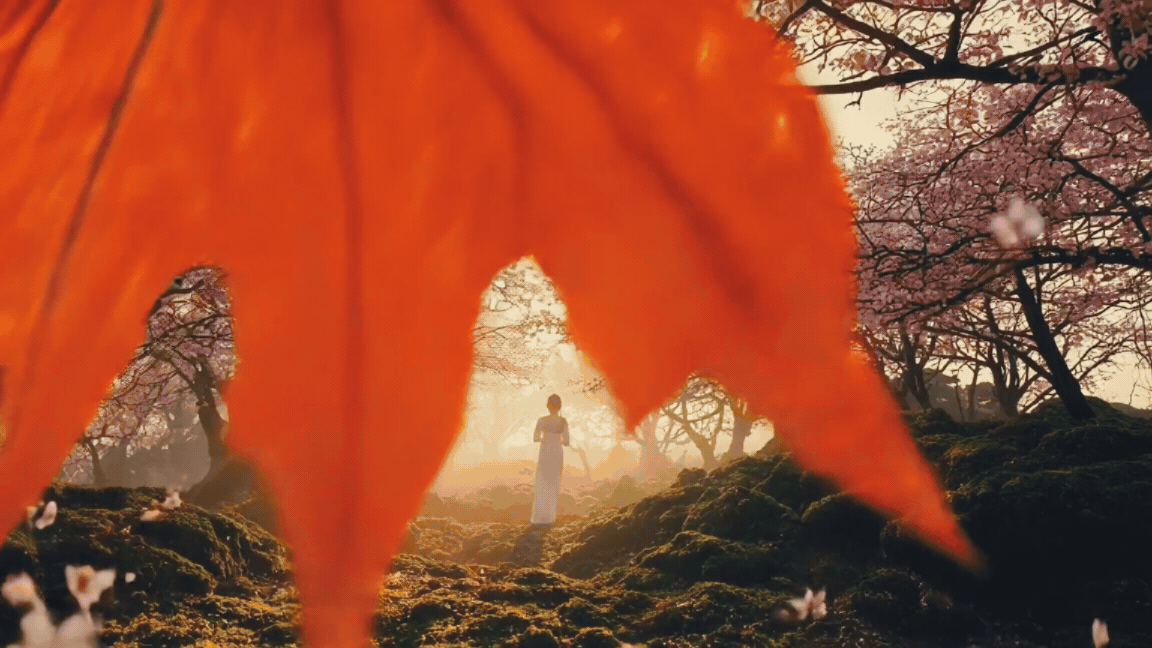 gallery-image-background-1