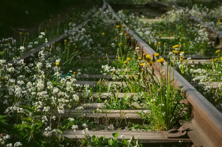 gallery-image-background-2