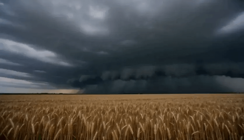 gallery-image-background-1