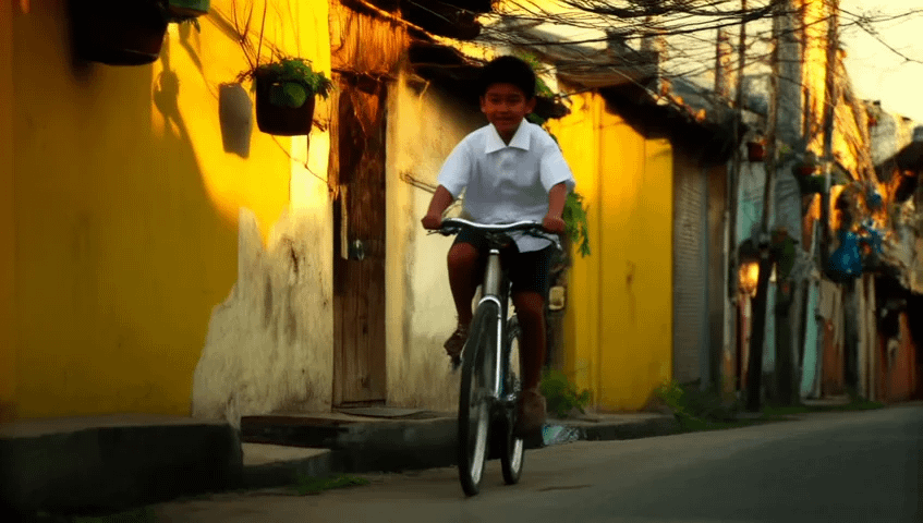 gallery-image-background-1