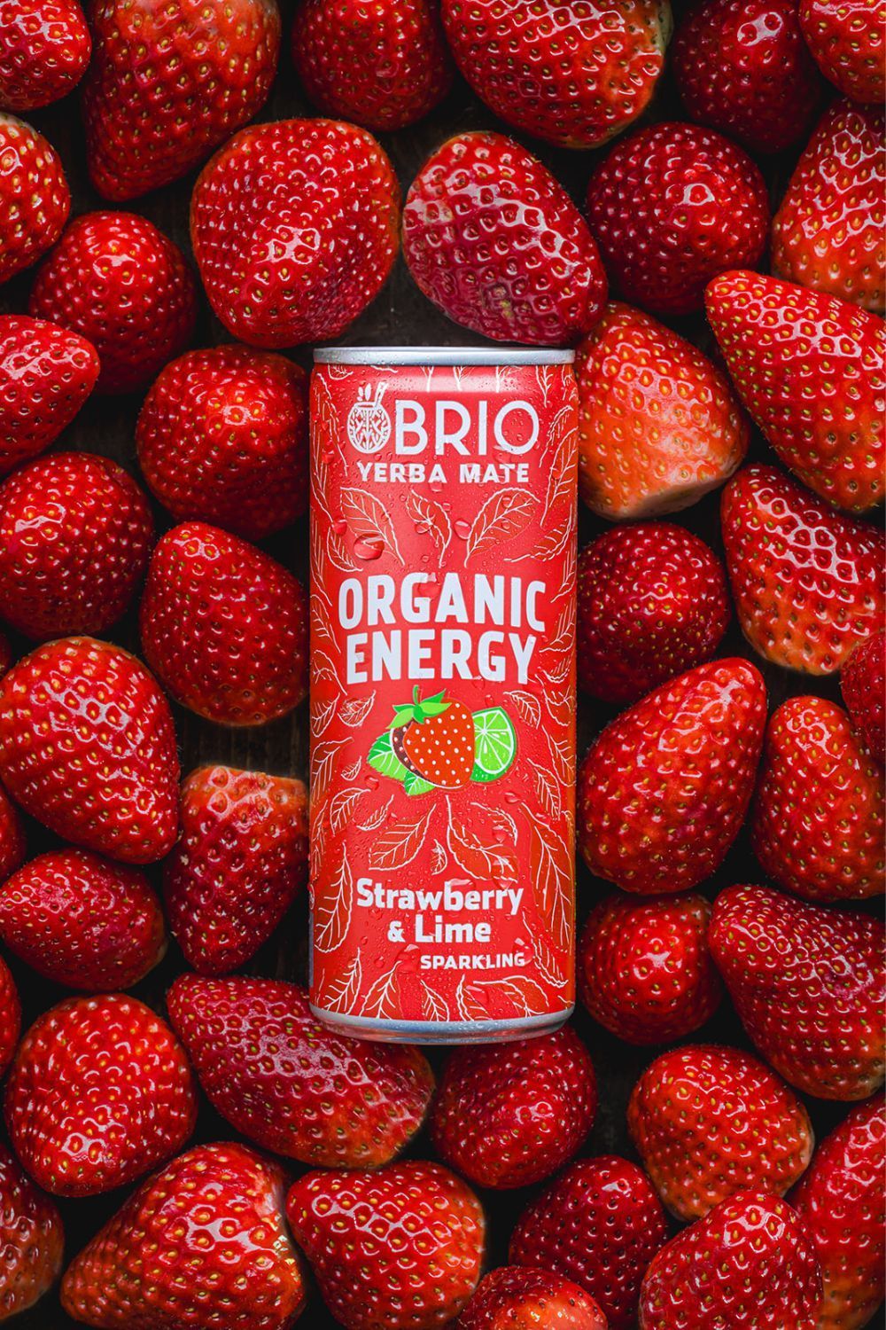 gallery-image-background-1