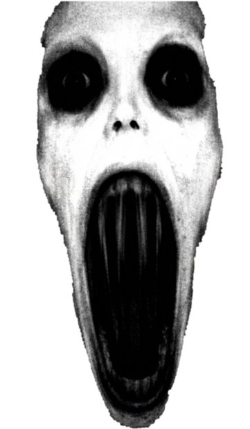 gallery-image-background-0