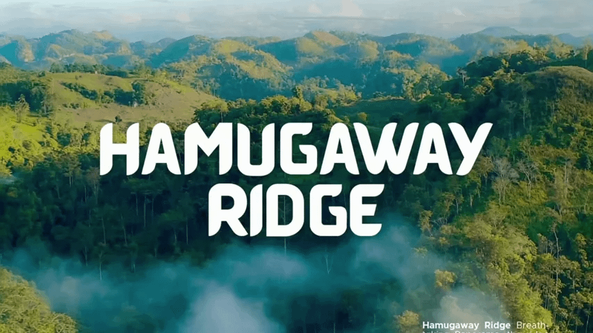 gallery-image-background-1