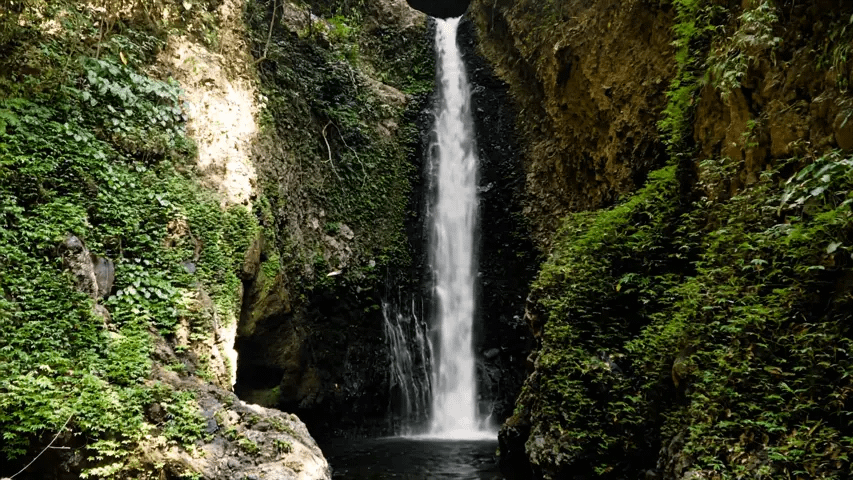 Moonvalley Marey Image to Video