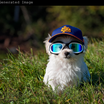 ComfyUI_00620__1787294713737.png