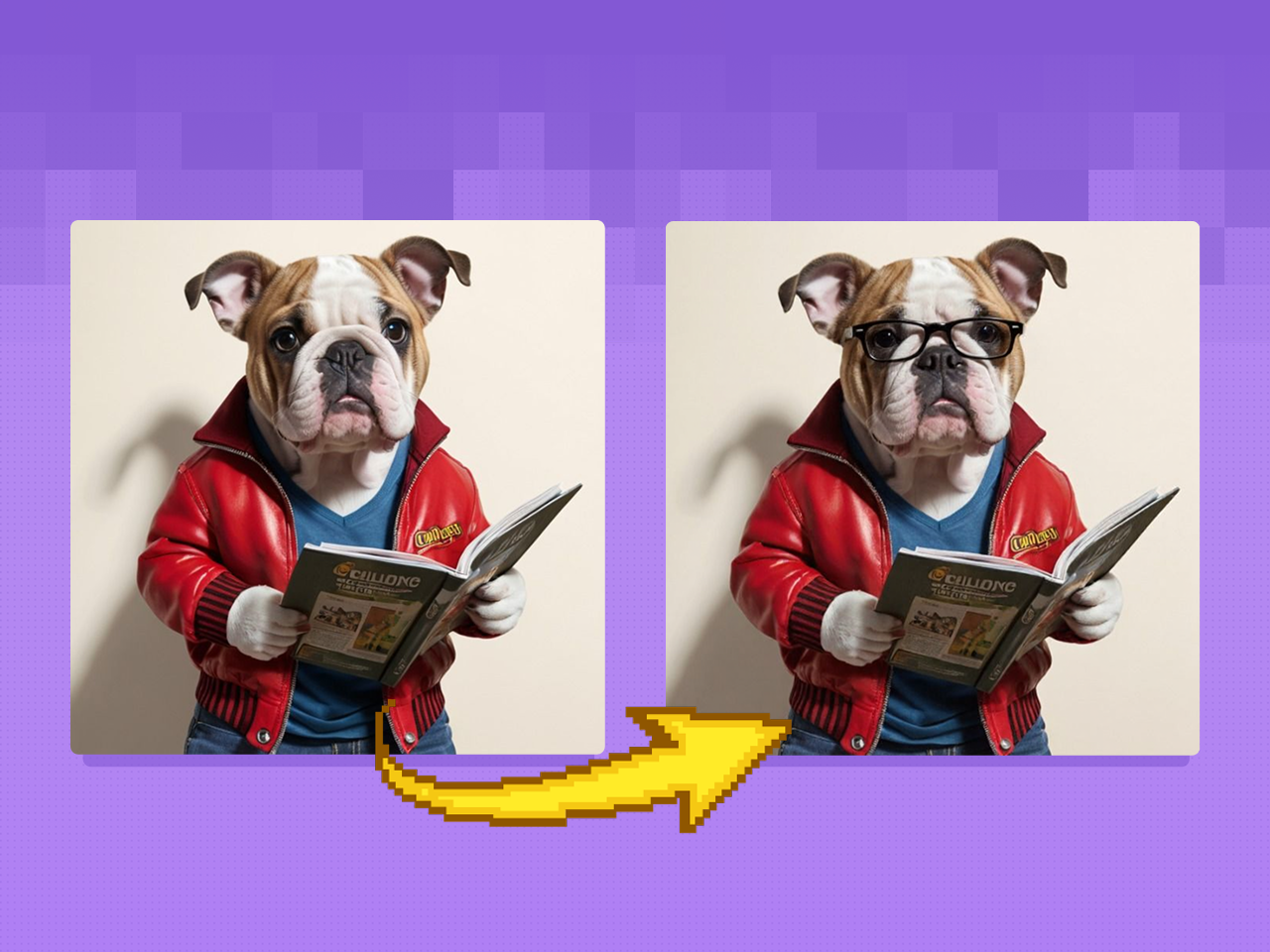 gallery-image-background-2