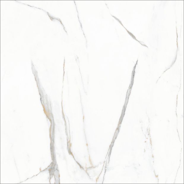 gallery-image-background-0
