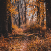 2026-09-21 15_16_42-_1789975507008.png