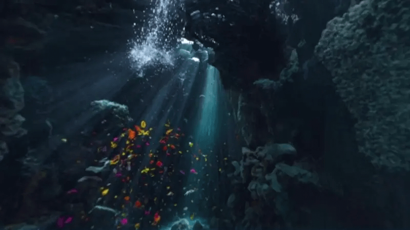 gallery-image-background-2