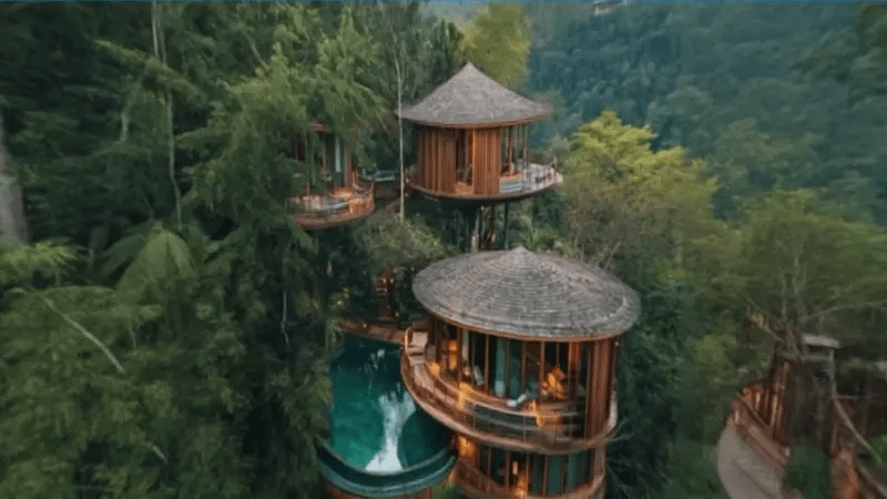 gallery-image-background-1