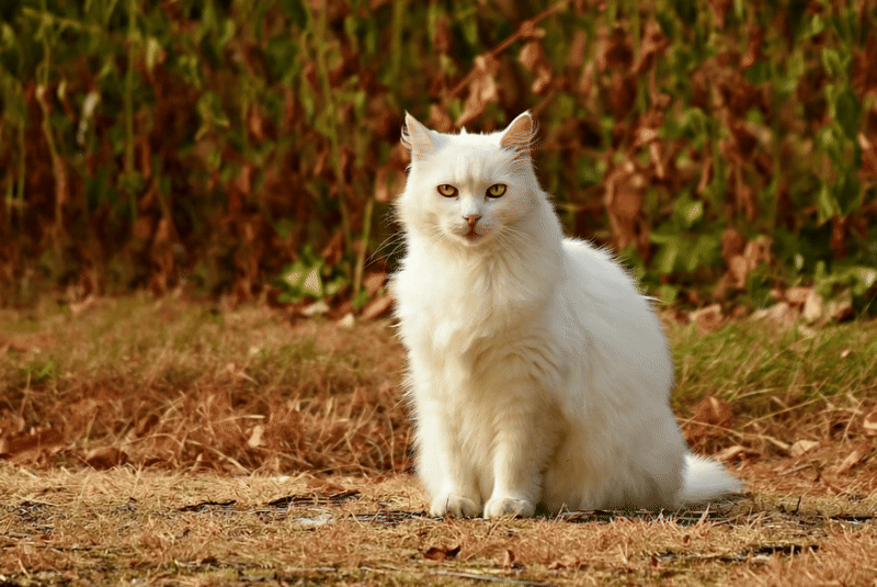 gallery-image-background-2