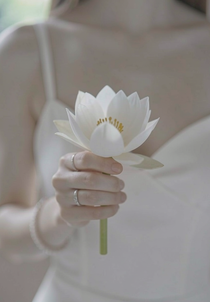gallery-image-background-0