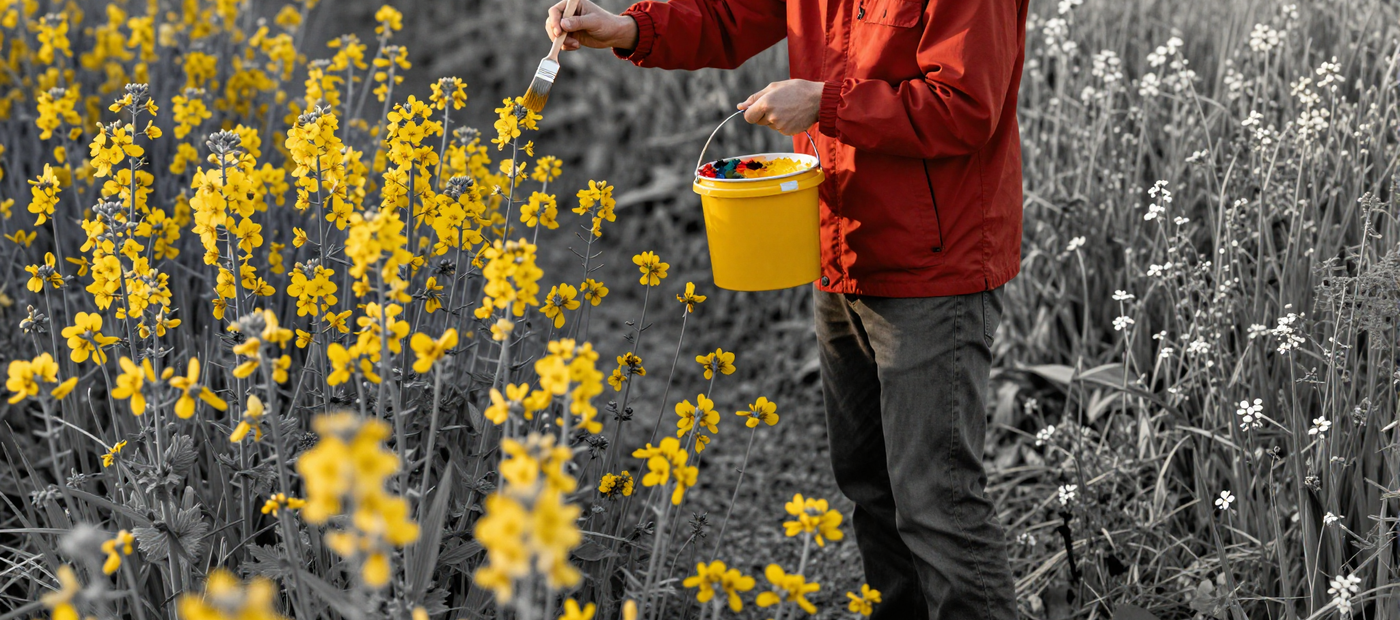 gallery-image-background-6