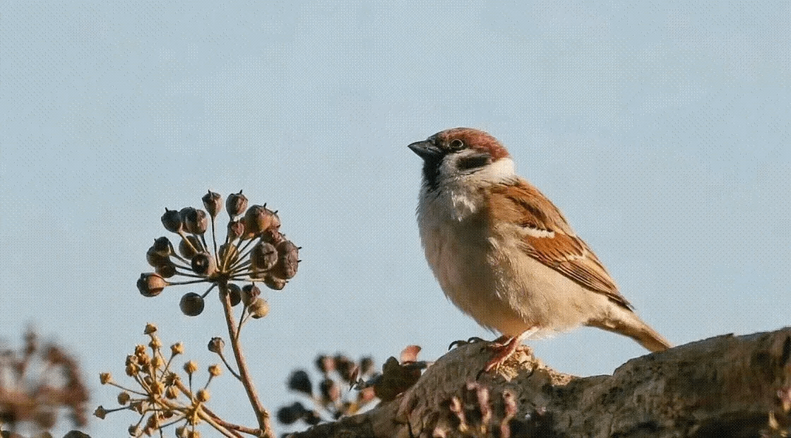 gallery-image-background-2