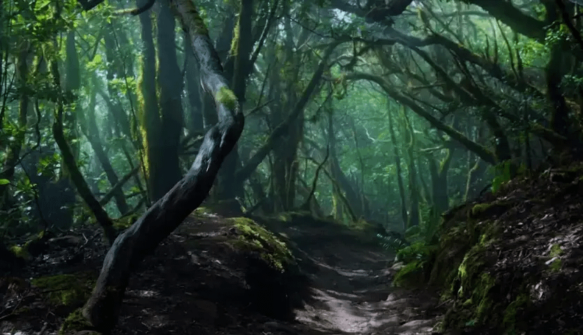 gallery-image-background-1