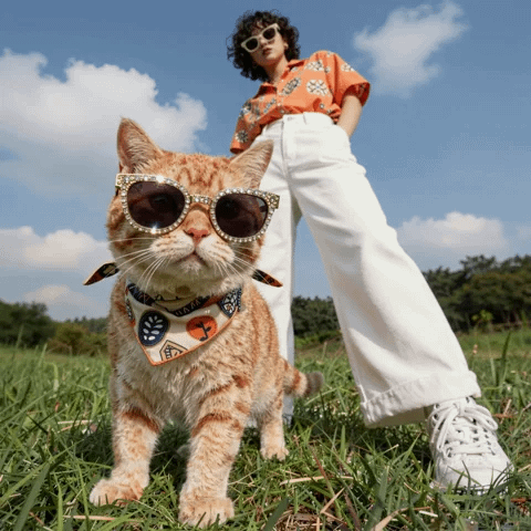 gallery-image-background-0