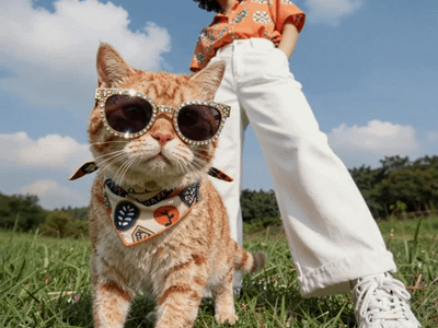 Kling 2.5 Image to Video