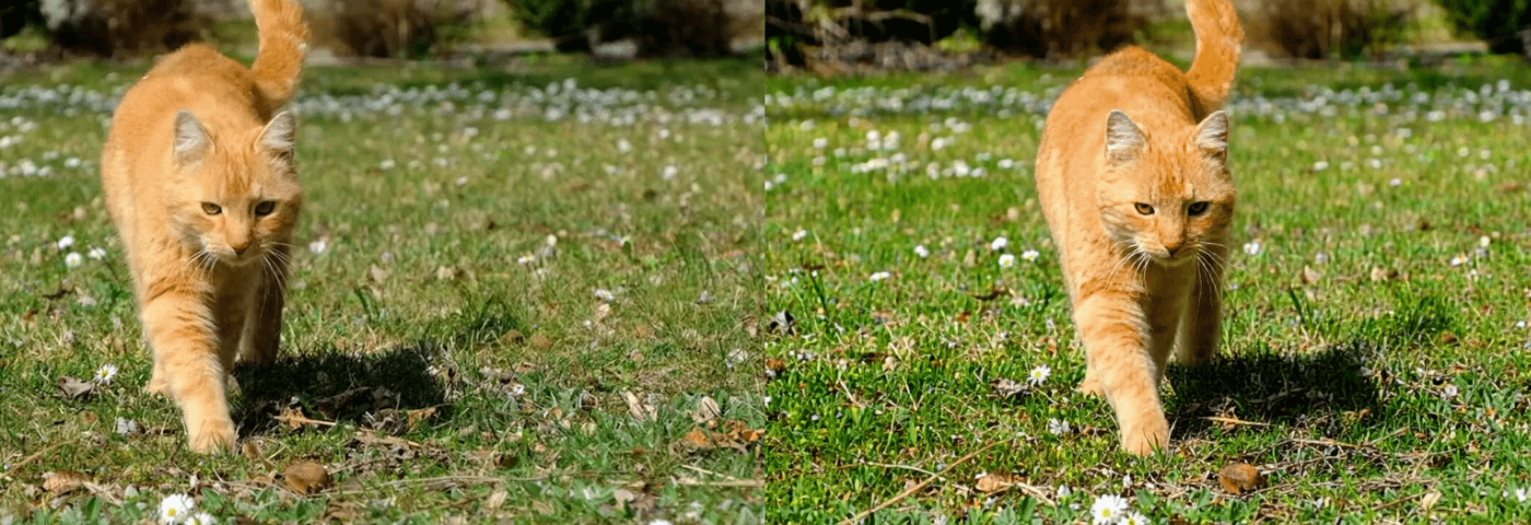 gallery-image-background-1