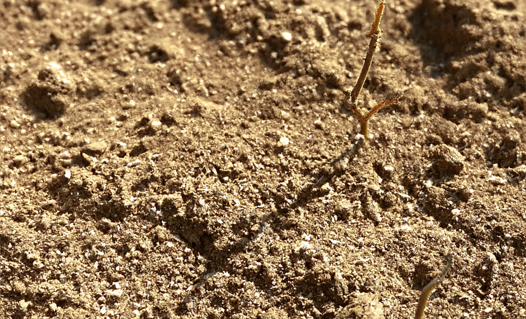 gallery-image-background-2