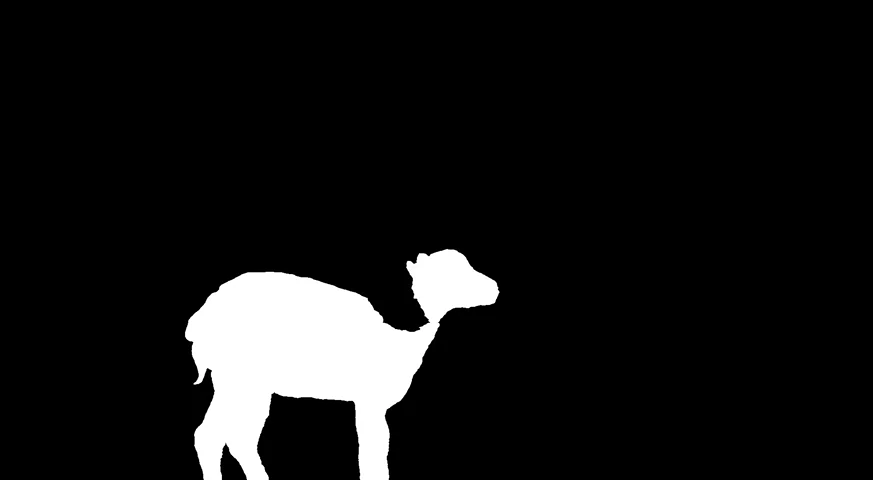 gallery-image-background-1