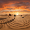 d25937d0-689e-446f-92a1-4ae0929990a0_1778477579172.png