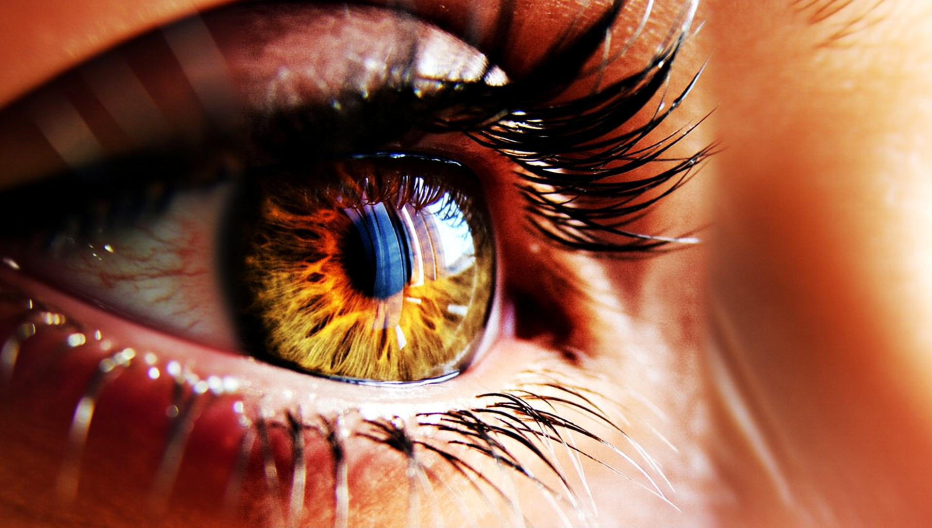 gallery-image-background-4