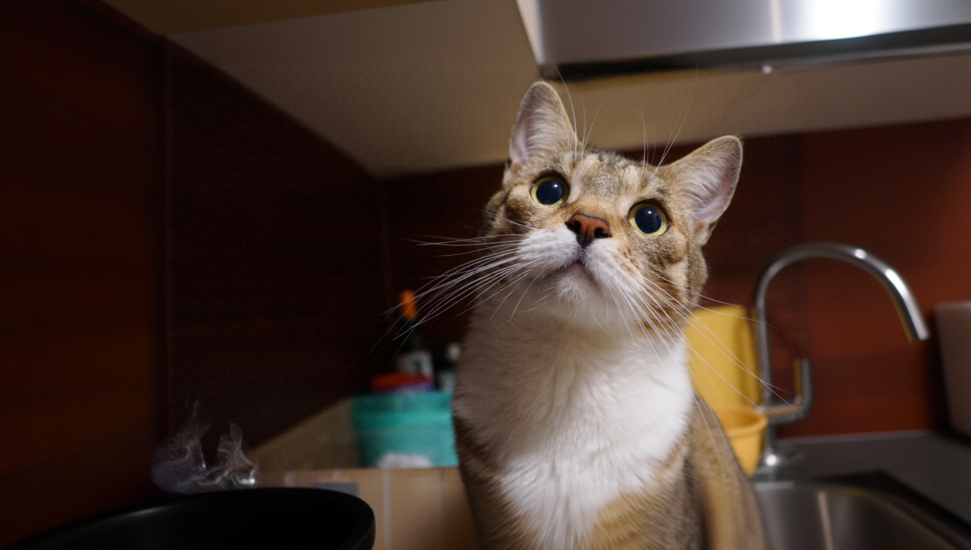 gallery-image-background-3