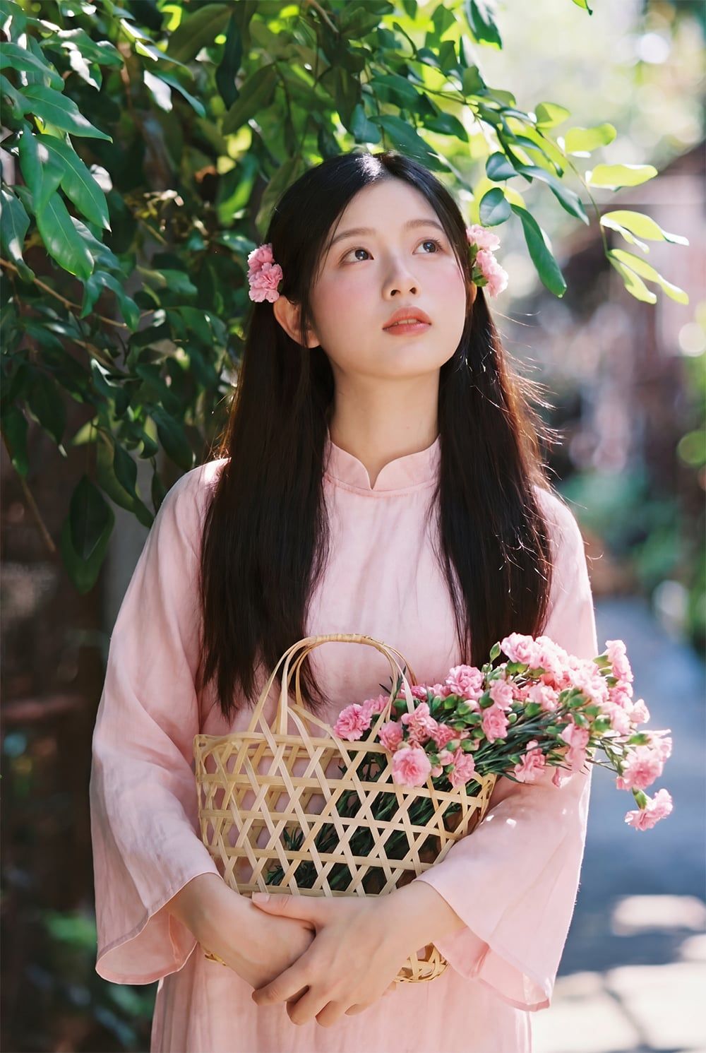 gallery-image-background-0