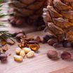 are-pine-cones-edible-1222-4_1774831147587.jpg