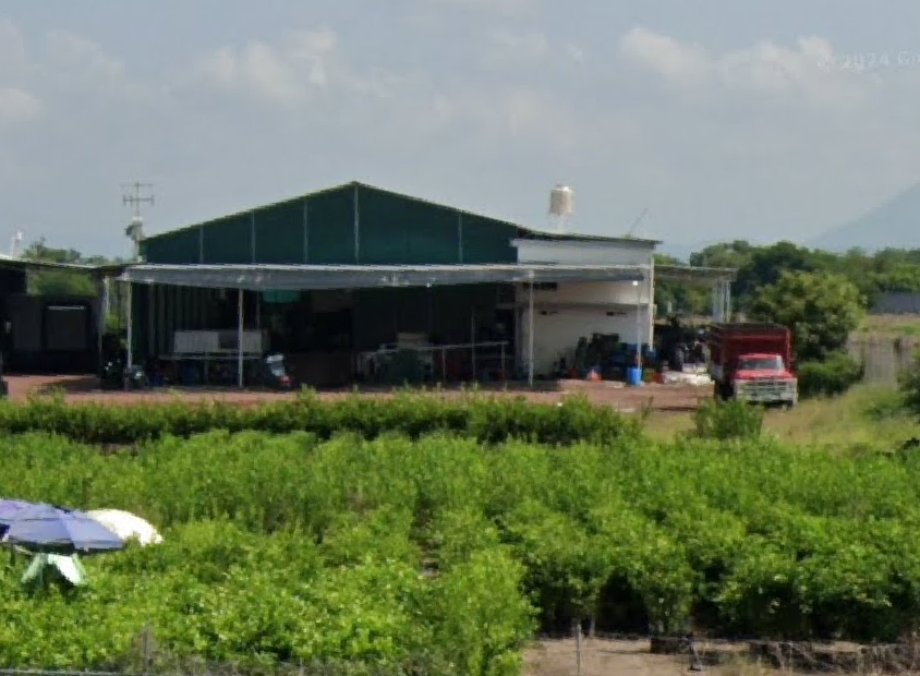 gallery-image-background-0