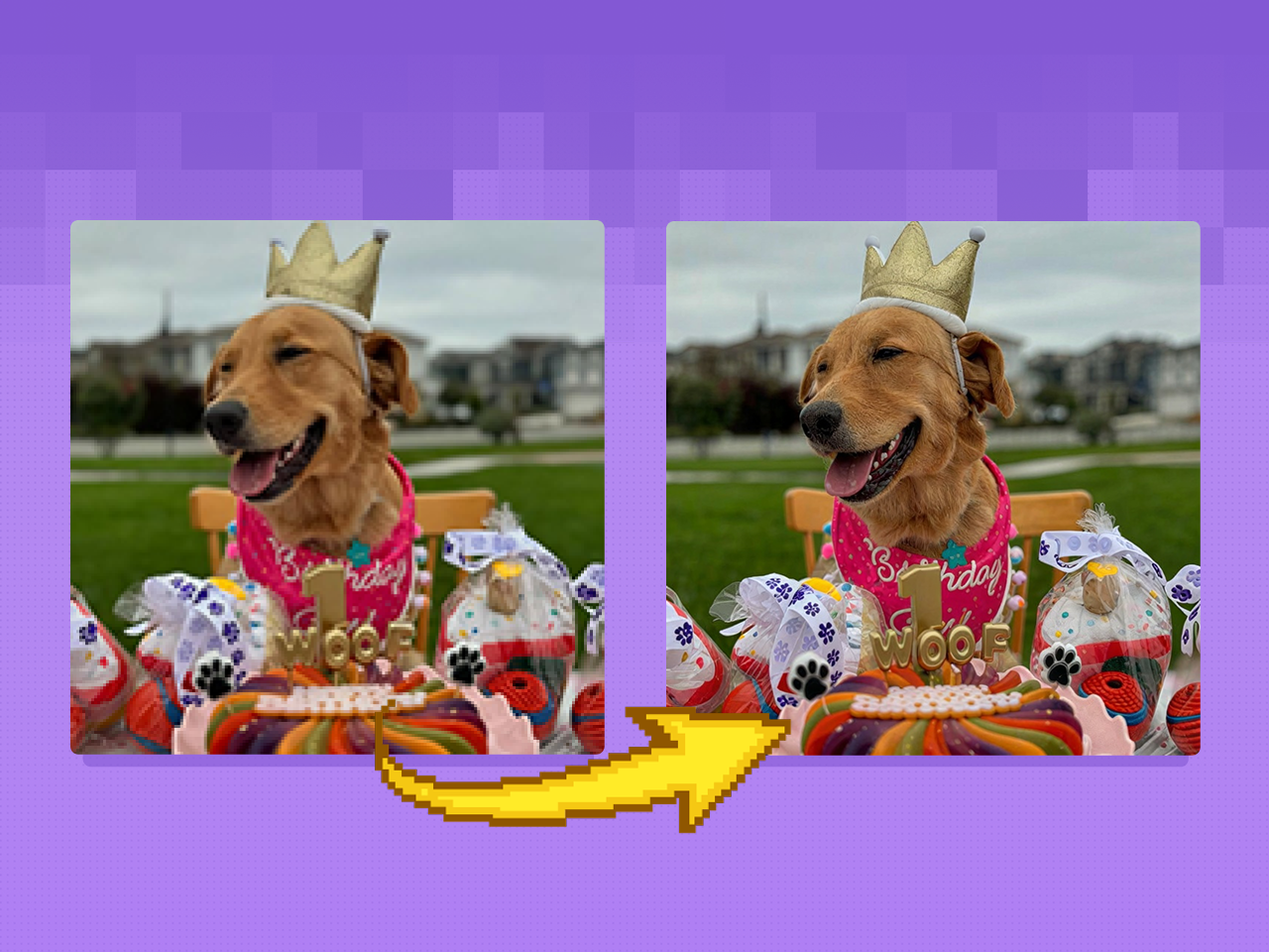 gallery-image-background-5