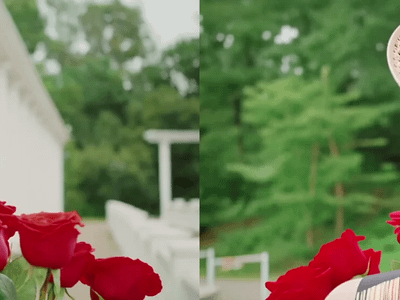 Camera Angle Creation using Image2Vid