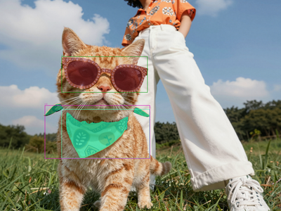 SAM3 Image Segmentation