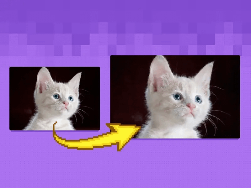 gallery-image-background-1