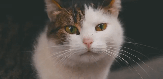 gallery-image-background-2