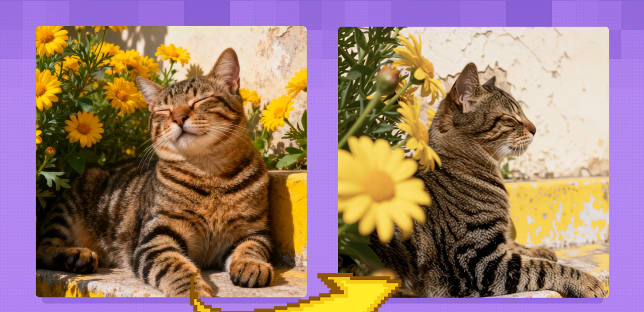 gallery-image-background-0