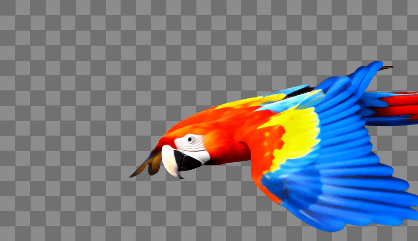 gallery-image-background-1