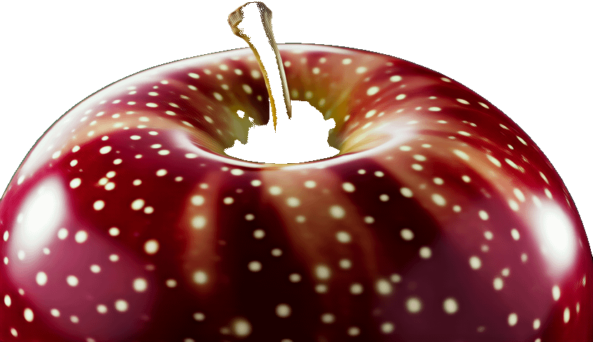 gallery-image-background-0