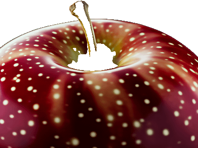 Wan Alpha Create Transparent Videos