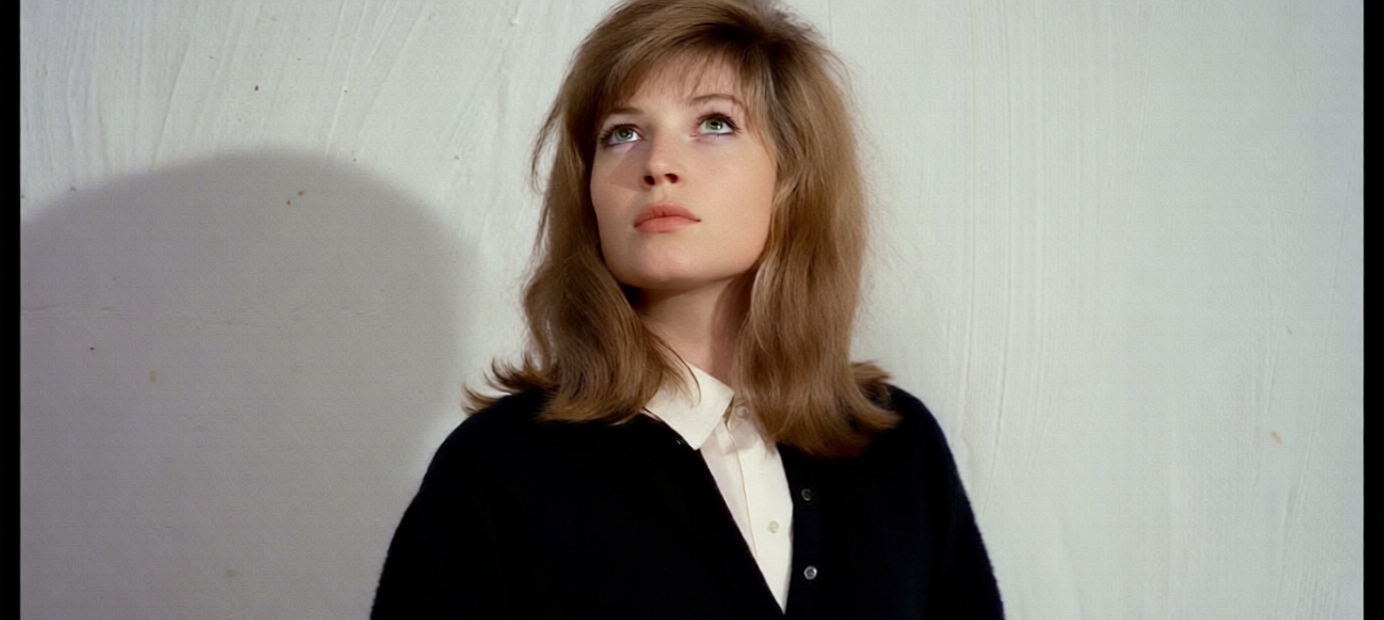 gallery-image-background-0