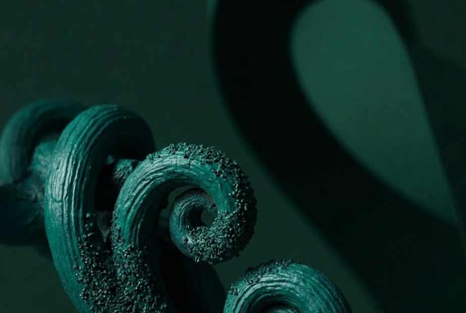 gallery-image-background-1