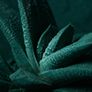ComfyUI_temp_nfbjy_00001__1778243918894.png