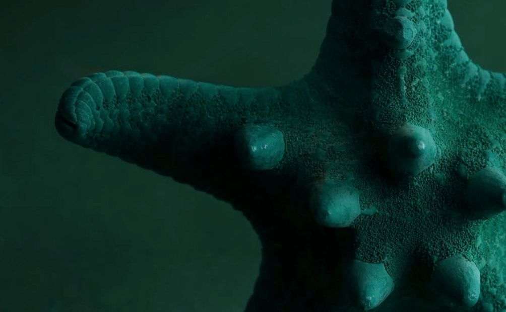gallery-image-background-3