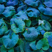 a671cf97-982d-44e6-9244-f21fa77ab0f9_1789562202552.png