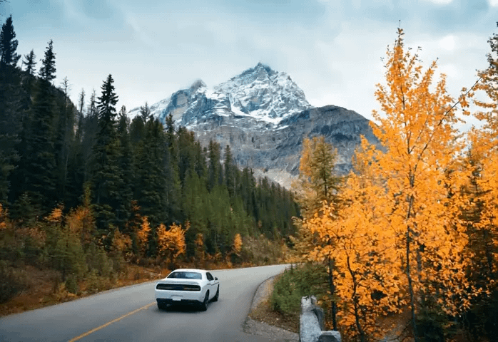 gallery-image-background-1