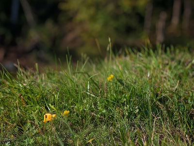 Craft Stunning Edits Instantly with Nano Banana Edit