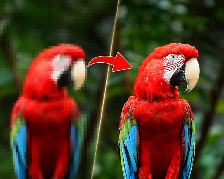 gallery-image-background-0