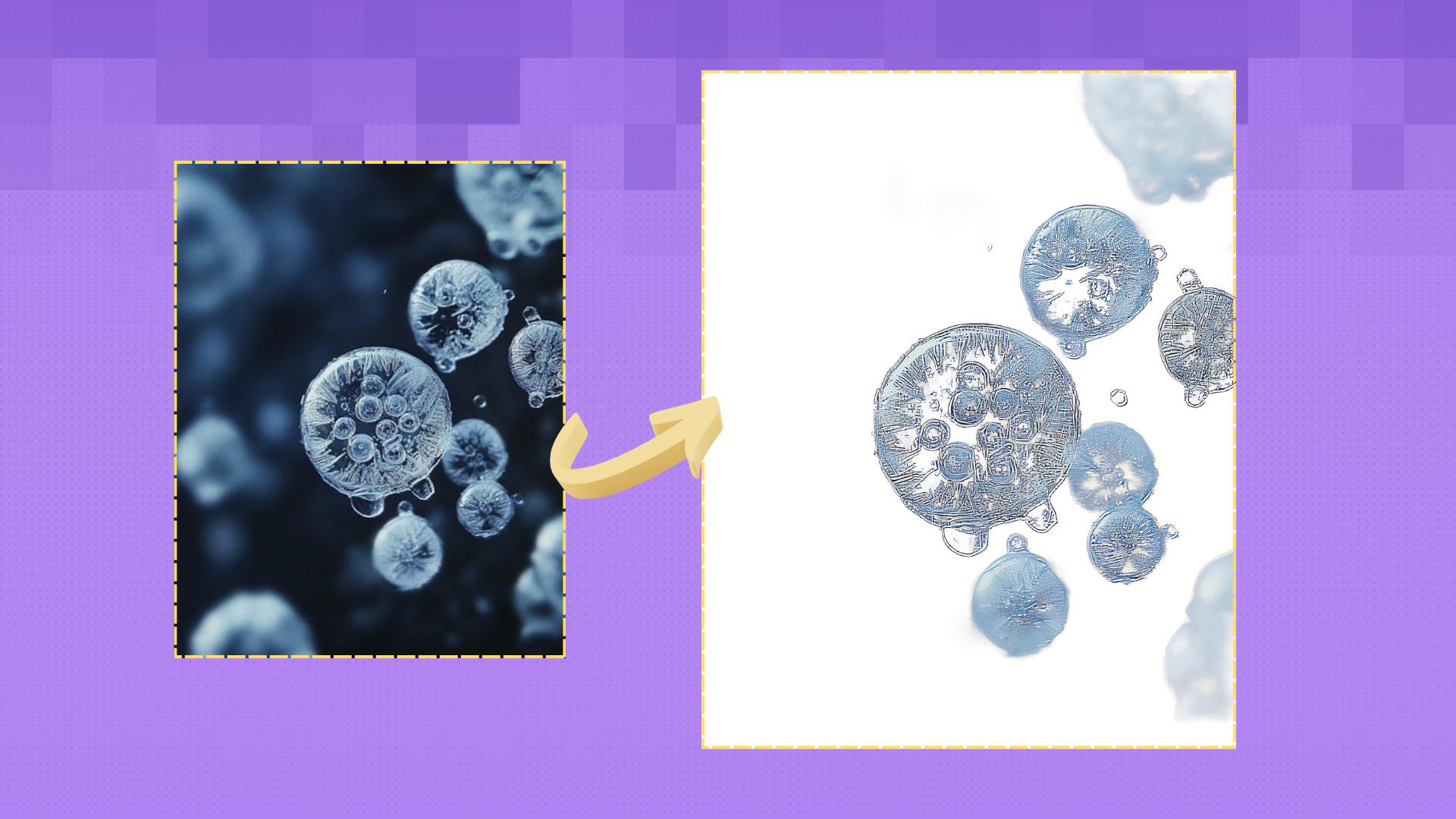 BiRefNet for Microscope Auto Segmentation 