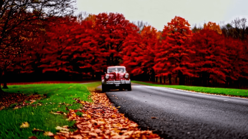 gallery-image-background-1