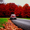 ComfyUI_00350_-ezgif.com-video-to-webp-converter_1776748430968.webp